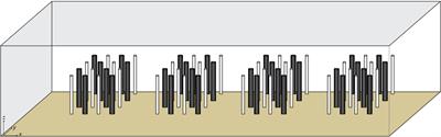 Flow characteristics of open channels based on patch distribution of partially discontinuous rigid combined vegetation